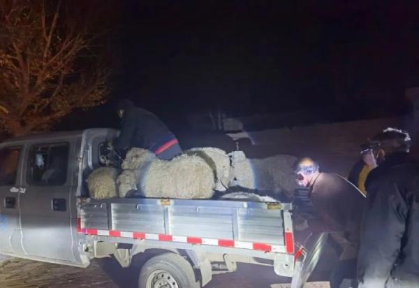 乌海版“喜羊羊与灰太狼”，主角永远是警察