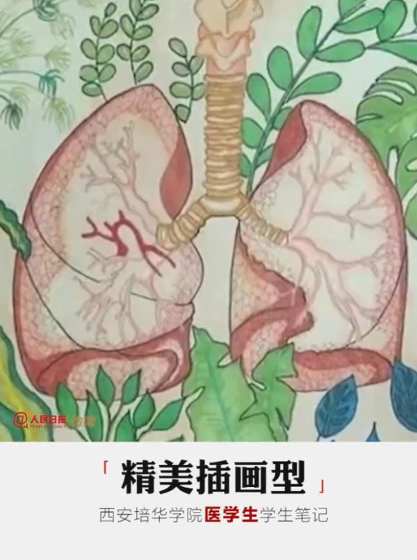 大学生笔记大赏！网友：学到了，录取通知书哪里领？