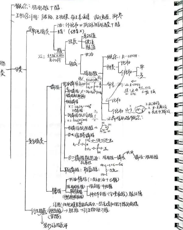 大学生笔记大赏！网友：学到了，录取通知书哪里领？