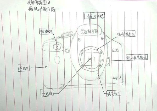 大学生笔记大赏！网友：学到了，录取通知书哪里领？