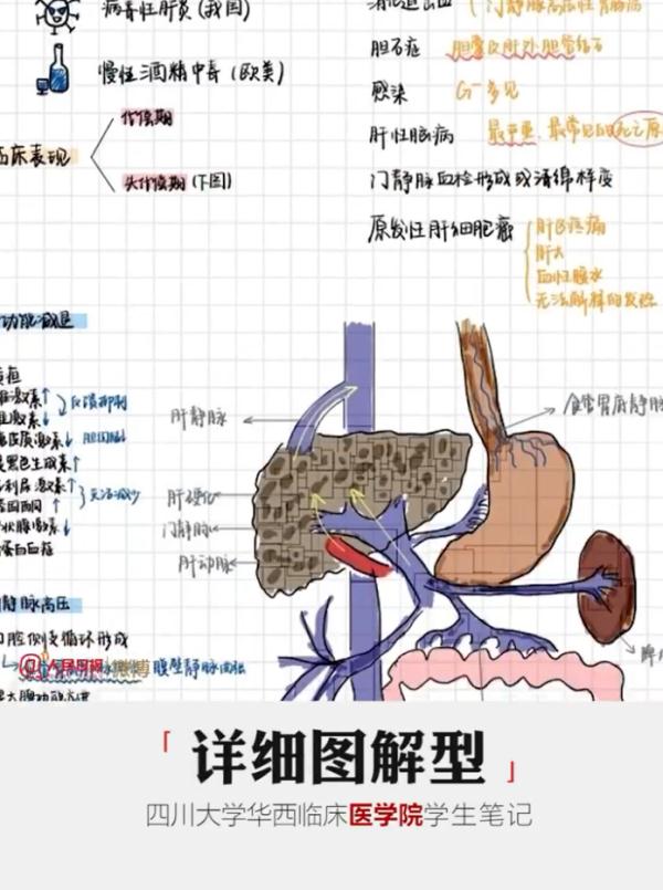 大学生笔记大赏！网友：学到了，录取通知书哪里领？