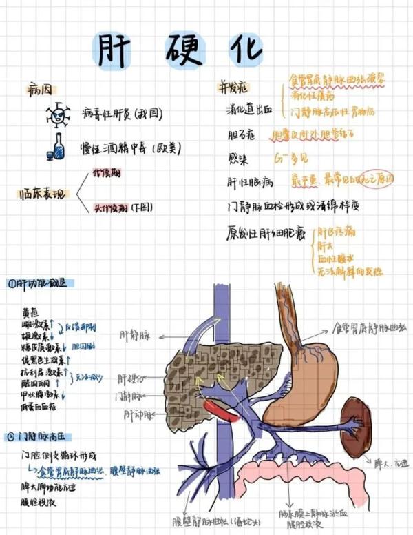 大学生笔记大赏！网友：学到了，录取通知书哪里领？