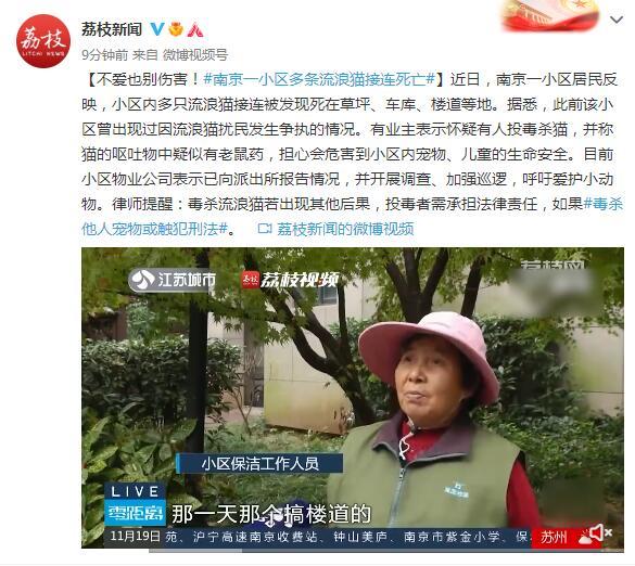不爱也别伤害！南京一小区多条流浪猫接连死亡