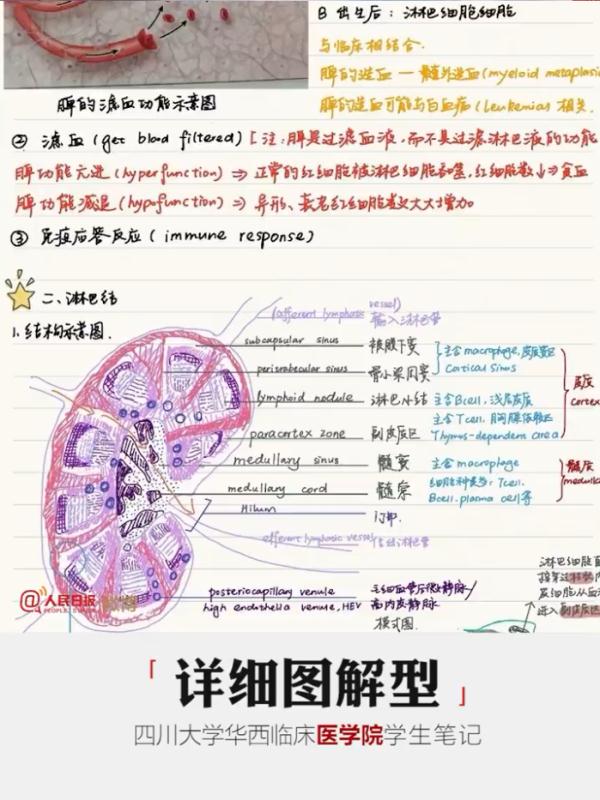 大学生笔记大赏！网友：学到了，录取通知书哪里领？