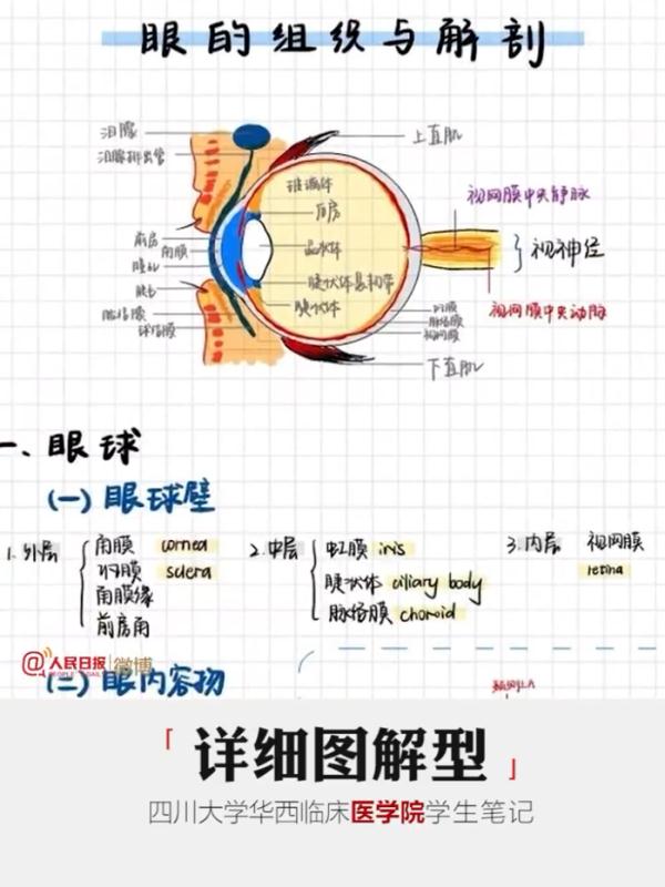 大学生笔记大赏！网友：学到了，录取通知书哪里领？