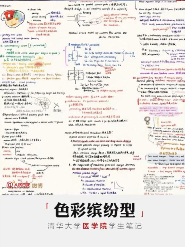 大学生笔记大赏！网友：学到了，录取通知书哪里领？