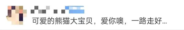一亿多人次投票取名的“团团”，走了