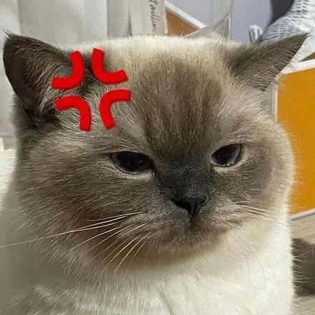 退一赔三！女子整容变“丑”，思明法院这样判……