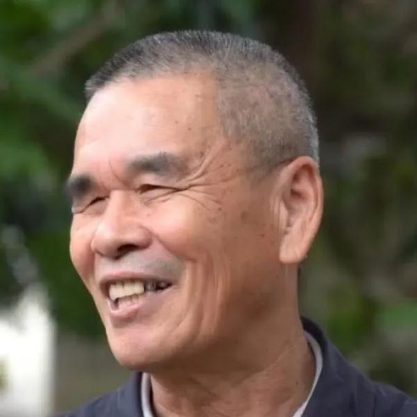 真“月老”！厦门437岁老树结红豆！依然鲜红圆润~