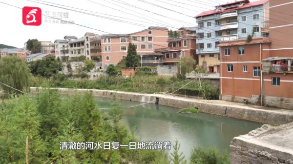 生死营救！女子深夜跳河，紧急时刻他们纵身一跃