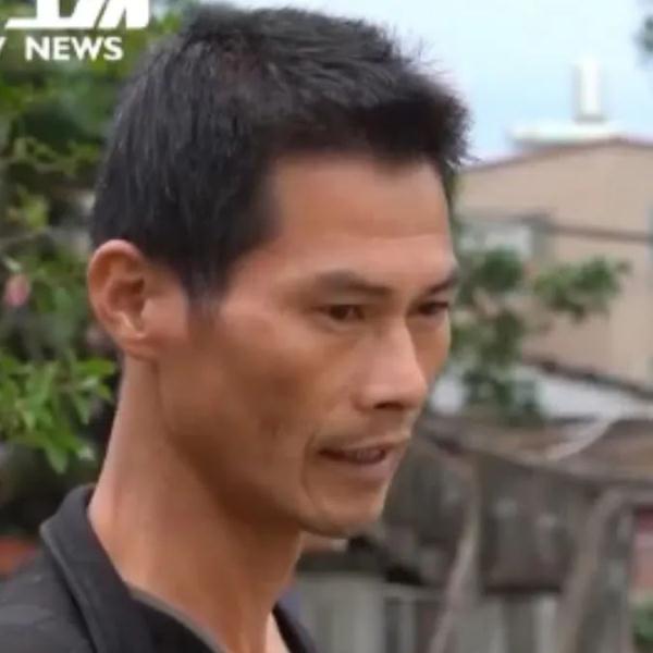 真“月老”！厦门437岁老树结红豆！依然鲜红圆润~