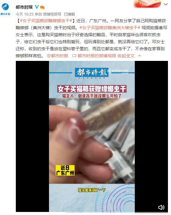女子买猫粮获赠蟑螂虫干：不像在家看到蟑螂那样害怕