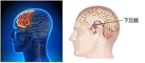 杭州妈妈崩溃：儿子1岁就性早熟，还爱傻笑！一查脑子里有个...