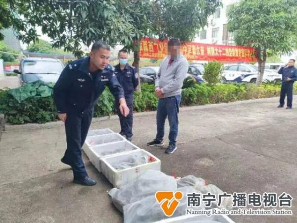 “移动蛇窝”！警方从一辆大巴车上截获200余条蛇……