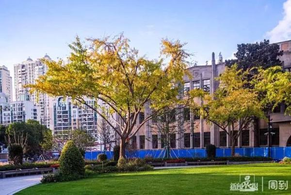 上海冬天要来了？下周将降至1℃？网友惊了：初雪什么时候下？