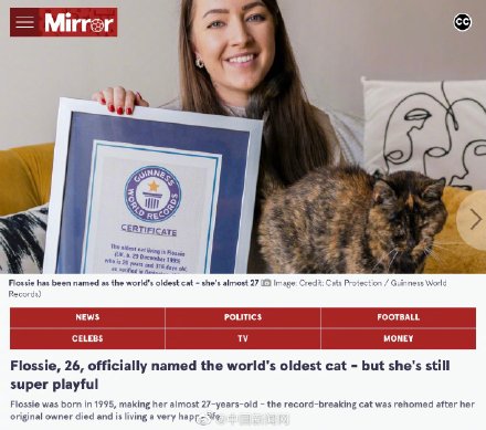 世界上最长寿的猫获吉尼斯认证