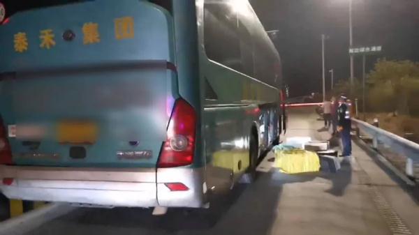 广西大巴车惊现200多条蛇!司机:客户托运的,说是海鲜…… 广西大巴车惊现200多条蛇!司机:客户托运的,说是海鲜……