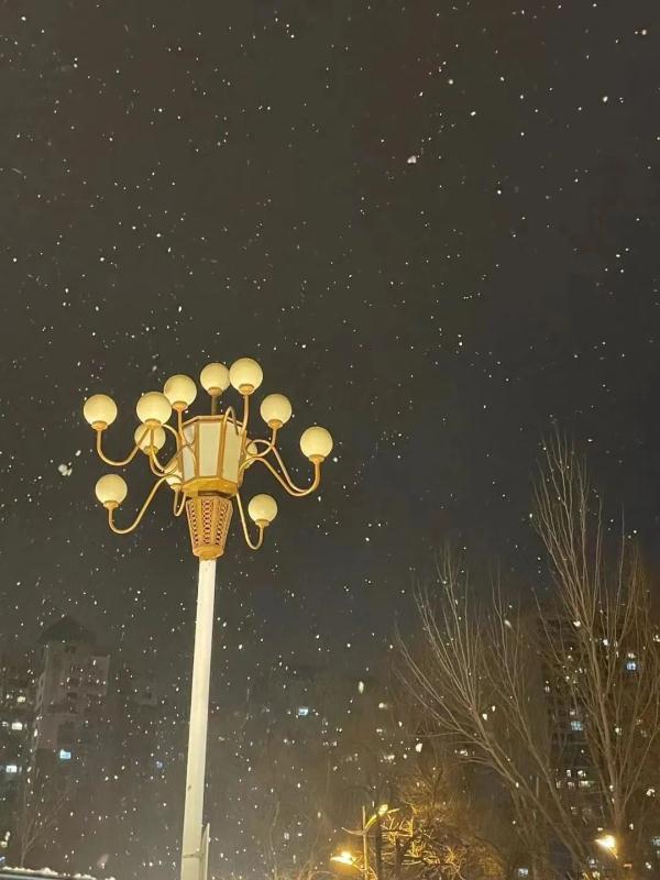下雪啦！哈尔滨交警发布冰雪路面出行提示