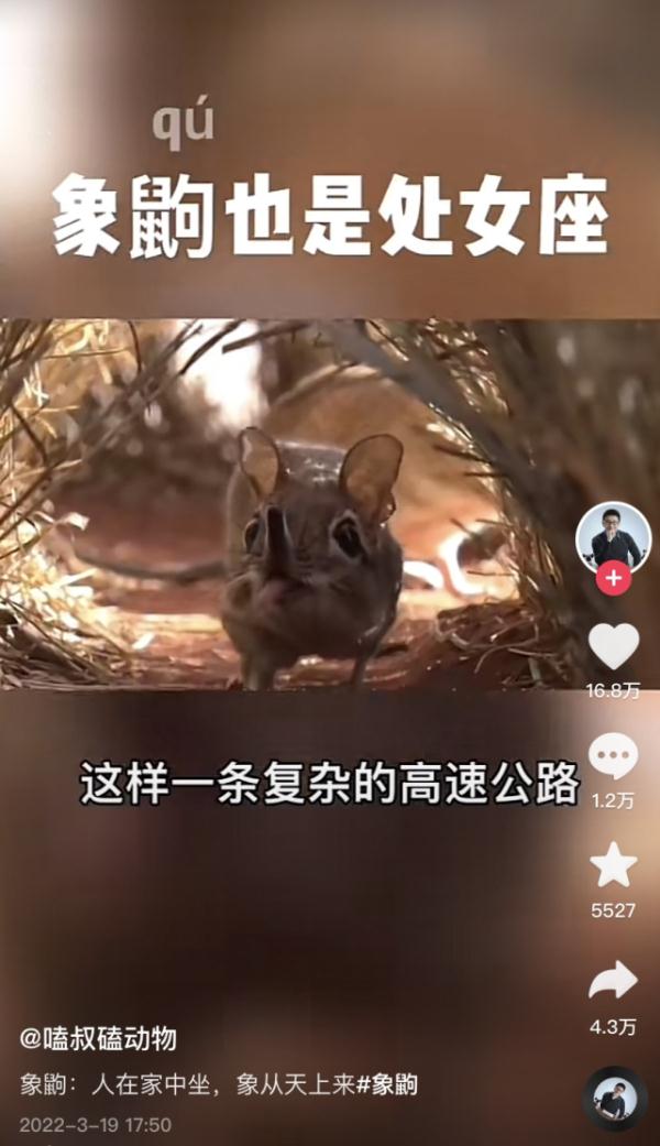 湖南小伙用“嗑学”科普动物圈粉287万，网友：看了几遍还想看