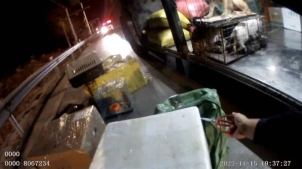 广西大巴车惊现200多条蛇!司机:客户托运的,说是海鲜…… 广西大巴车惊现200多条蛇!司机:客户托运的,说是海鲜……