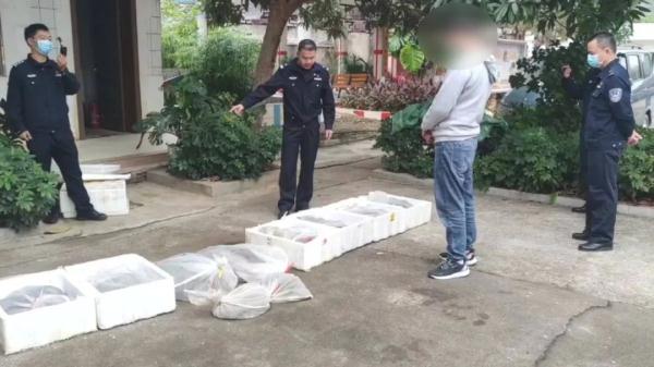 广西大巴车惊现200多条蛇!司机:客户托运的,说是海鲜…… 广西大巴车惊现200多条蛇!司机:客户托运的,说是海鲜……