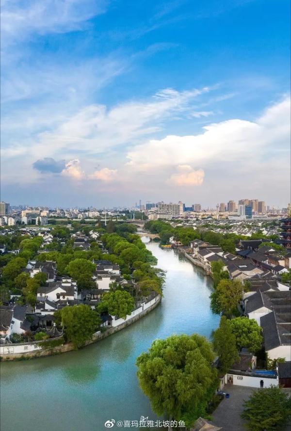 “鸟中大熊猫”现身阳澄湖!409种鸟儿惊艳“天堂” “鸟中大熊猫”现身阳澄湖!409种鸟儿惊艳“天堂”