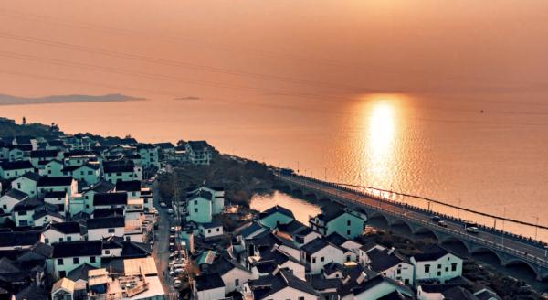 “鸟中大熊猫”现身阳澄湖!409种鸟儿惊艳“天堂” “鸟中大熊猫”现身阳澄湖!409种鸟儿惊艳“天堂”