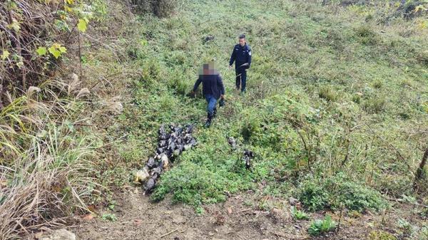 鸭子集体 “失踪” 民警调查发现...... 鸭子集体 “失踪” 民警调查发现......