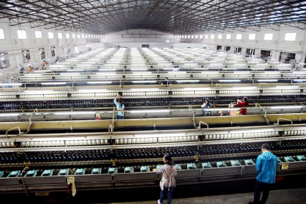广西河池市打造桑蚕茧丝绸全产业链发展模式