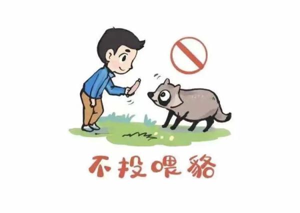 上海估计有三五千只！你遇到过它吗？