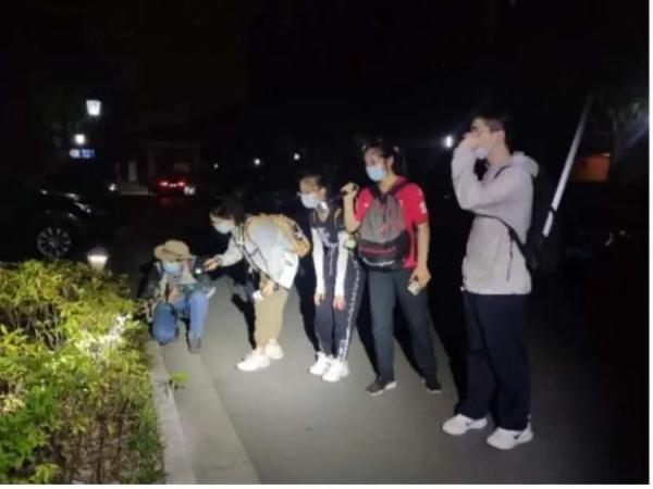 上海估计有三五千只！你遇到过它吗？