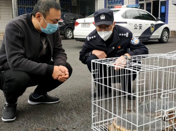 买下“乌龟”欲放生 民警一眼辨别“不能放”! 买下“乌龟”欲放生 民警一眼辨别“不能放”!