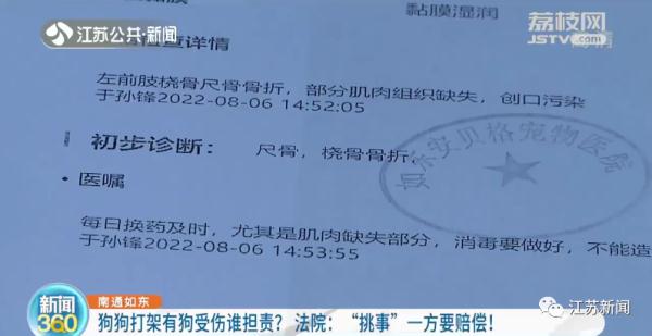 邻家狗子咬伤自家爱犬,谁来担责?法院这样判! 邻家狗子咬伤自家爱犬,谁来担责?法院这样判!