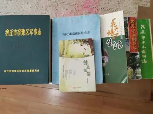 救回2200年的古槐！他被大家称为“古树保护神”