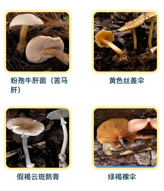 阜阳这里已出现！提醒：不要吃！