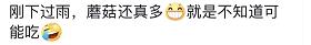 阜阳这里已出现！提醒：不要吃！