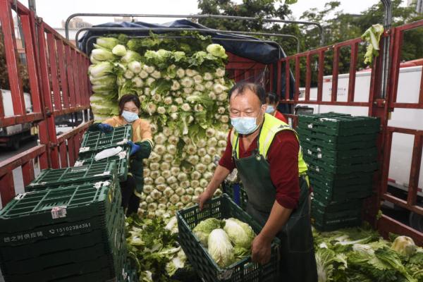 多点连线：北京、广东、重庆全力迎战疫情