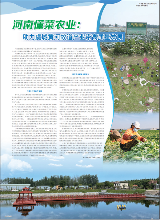 河南懂菜农业：助力虞城黄河故道产业带高质量发展