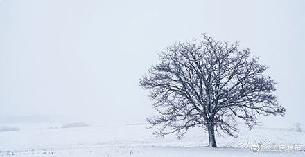 重庆东部海拔800米以上地区或将飘雪，体验“一秒入冬”