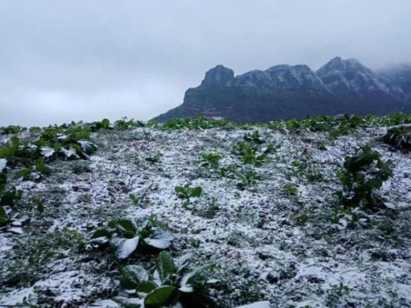 湖南多地迎来初雪!今年冬天会格外冷吗?专家解答 湖南多地迎来初雪!今年冬天会格外冷吗?专家解答
