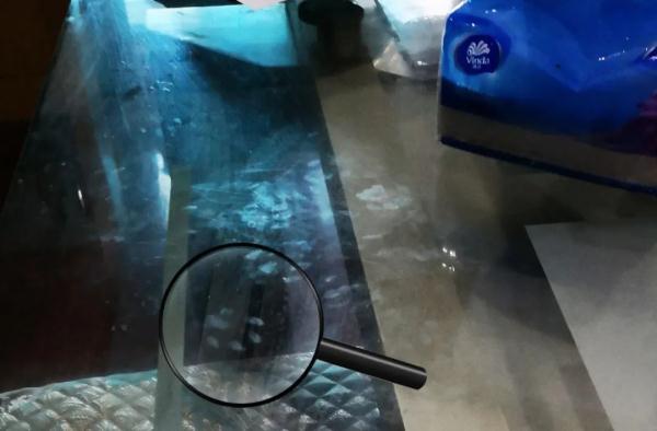 海宁周阿姨家中发生离奇“偷吃案”，真相有点“萌”…