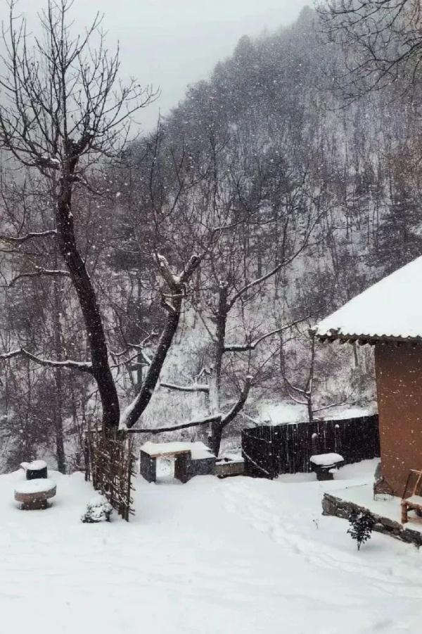 西安今日迎来初雪!陕西继续发布预警!多地降温降雪天气仍将持续..... 西安今日迎来初雪!陕西继续发布预警!多地降温降雪天气仍将持续.....