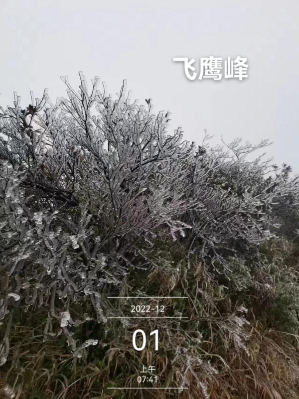 断崖式降温，广西下雪了！