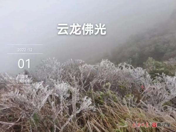 零下1.5摄氏度！南宁这个地方出现雾凇景观