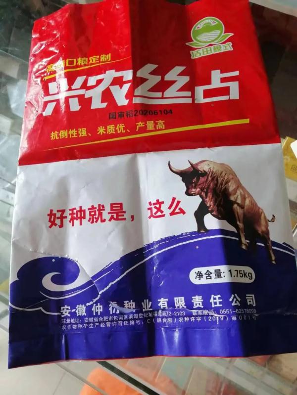 种错？买错？涟水一地数十亩“新品种”稻子颗粒无收