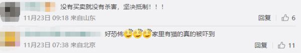 直播间卖“猫皮大衣”，一件大衣要用二十多张！网友吵翻，平台回应→