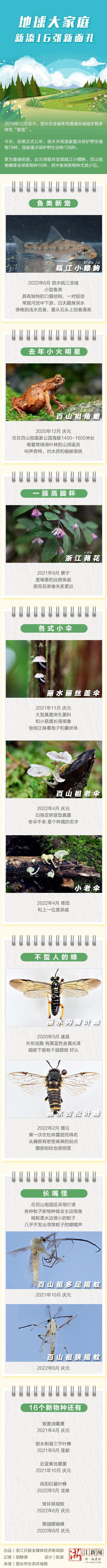 浙江发现全球新物种“瓯江小鳔鮈”！这名字怎么念？