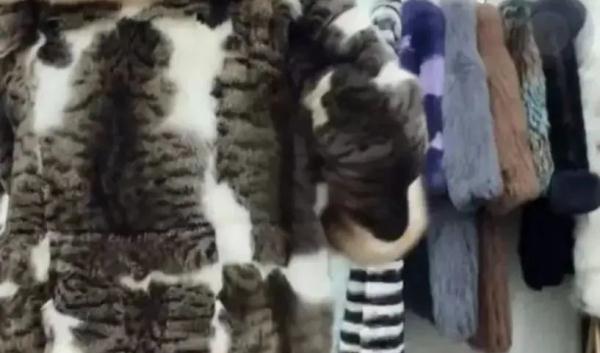 直播间卖这种衣服，不违法吗？ 执法部门这样回应