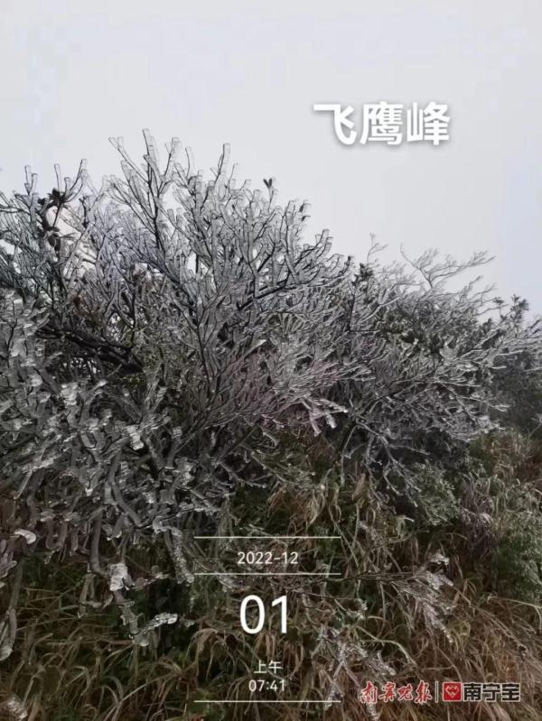 零下1.5摄氏度！南宁这个地方出现雾凇景观