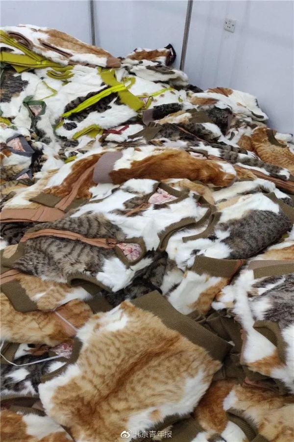 直播间卖“猫皮大衣”，一件大衣要用二十多张！网友吵翻，平台回应→